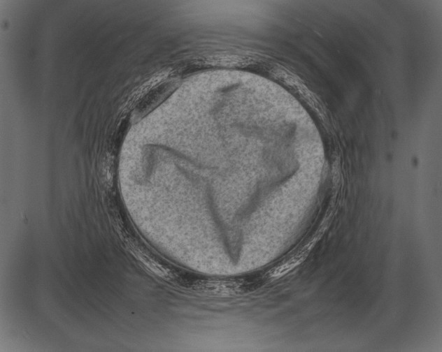 X0000085730305200704091451