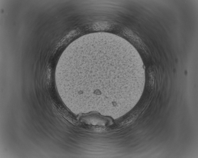 X0000085730308200704091451