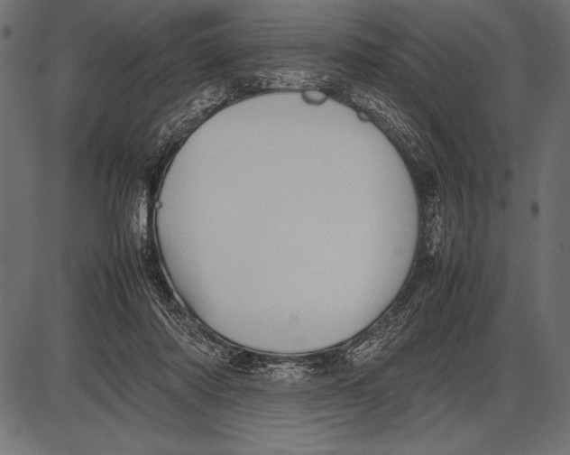 X0000085730310200704091451