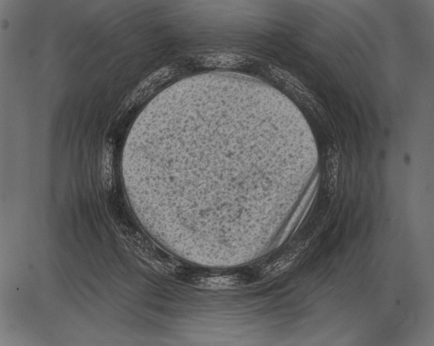 X0000085730312200704091451