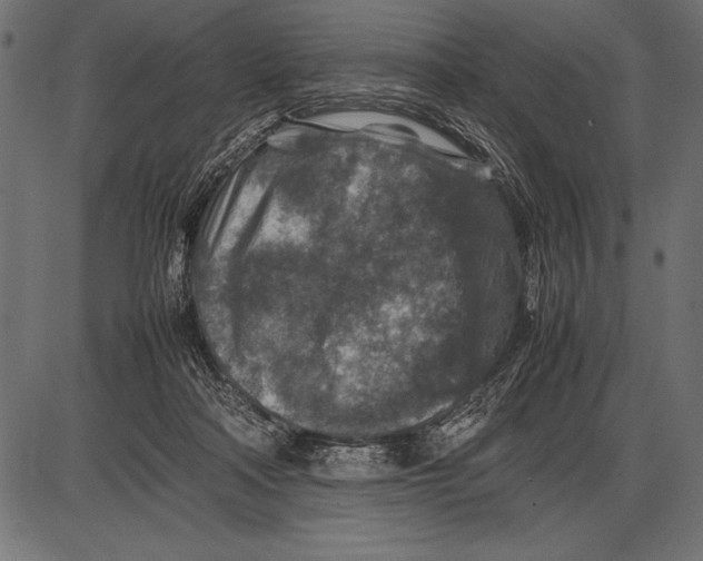 X0000085730314200704091451