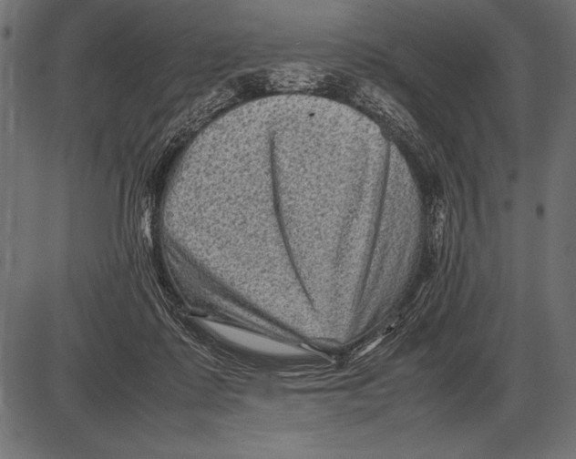 X0000085730315200704091451