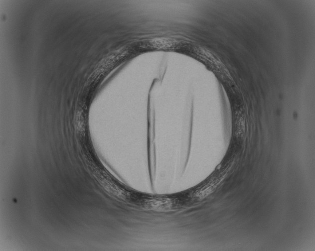 X0000085730317200704091451