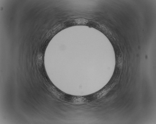 X0000085730321200704091451