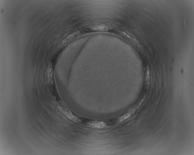 X0000085730322200704091451