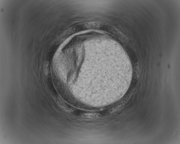 X0000085730323200704091451