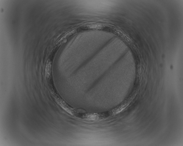 X0000085730325200704091451