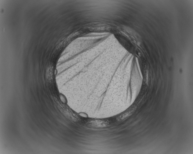 X0000085730326200704091451