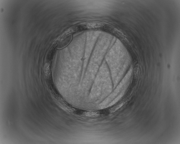 X0000085730327200704091451