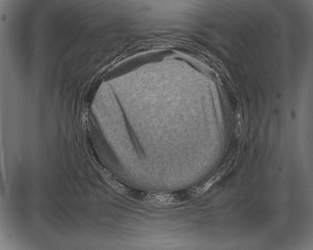 X0000085730329200704091450