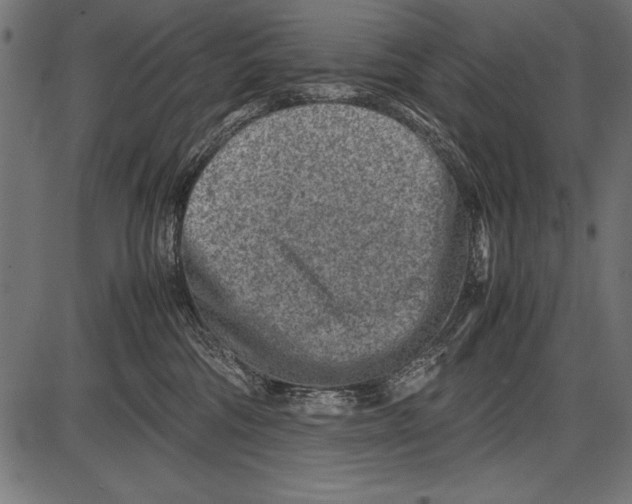 X0000085730330200704091450