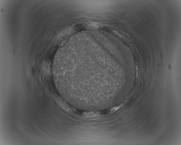 X0000085730331200704091450