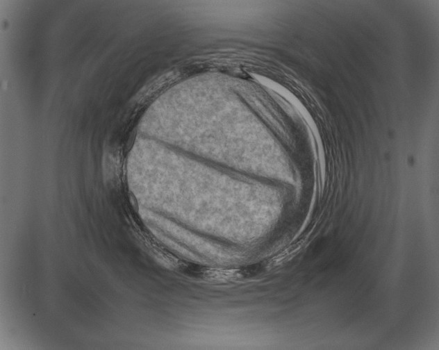 X0000085730333200704091450