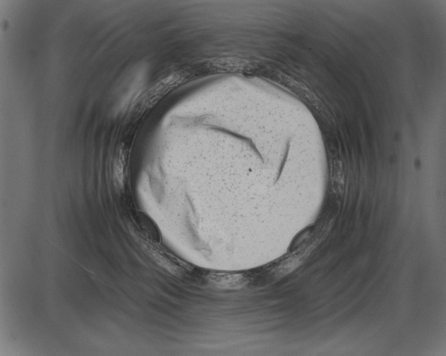 X0000085730334200704091450