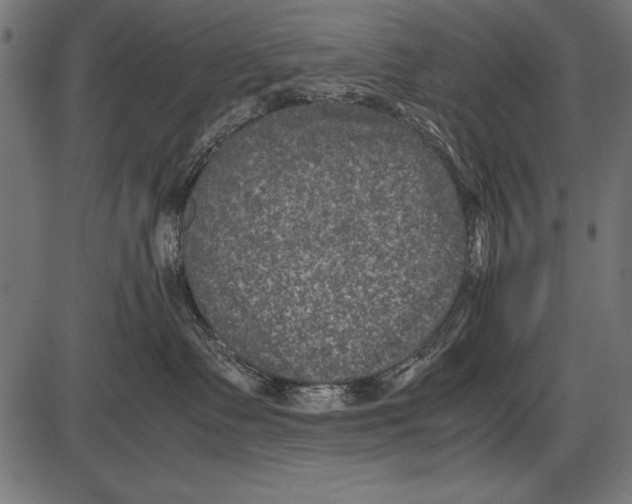 X0000085730335200704091450