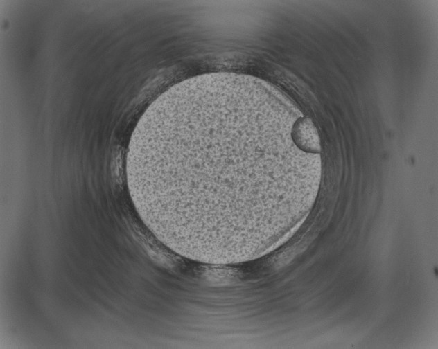 X0000085730336200704091450