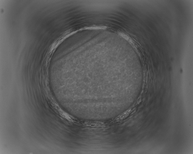 X0000085730337200704091450