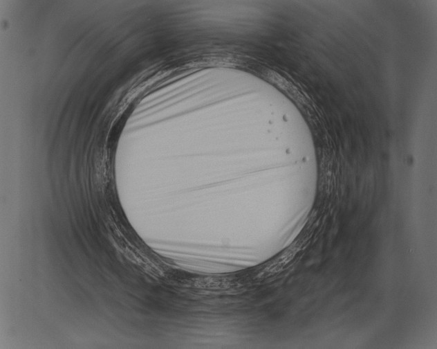 X0000085730338200704091450