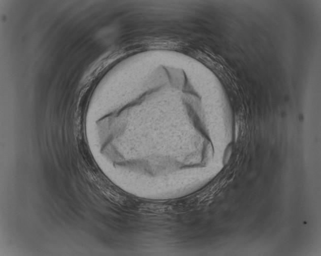 X0000085730339200704091450