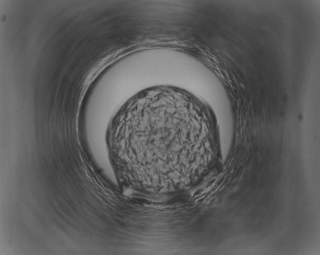 X0000085730340200704091450