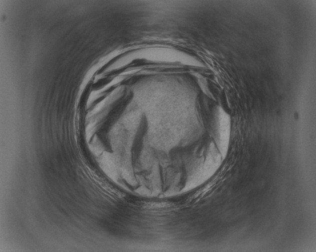 X0000085730342200704091450