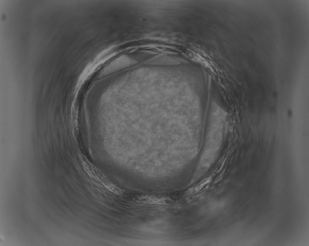 X0000085730343200704091450