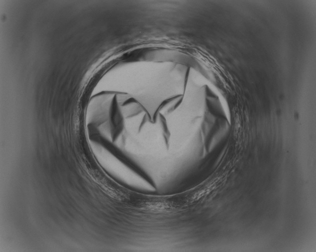 X0000085730344200704091450