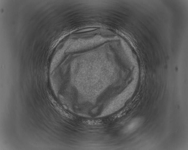 X0000085730345200704091450