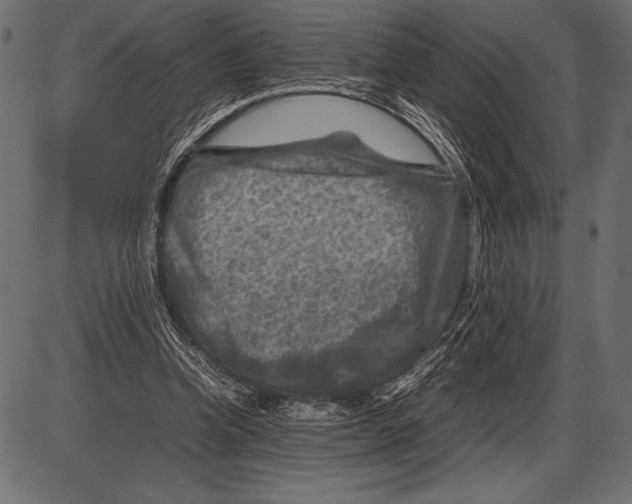 X0000085730346200704091450