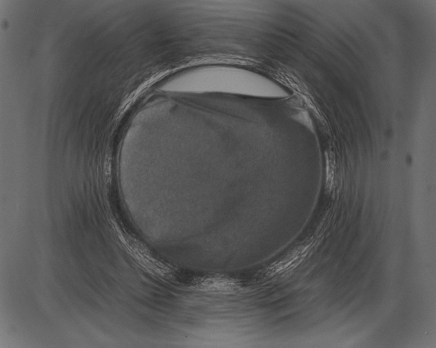 X0000085730348200704091450