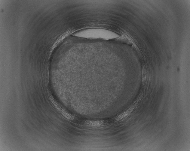 X0000085730349200704091450