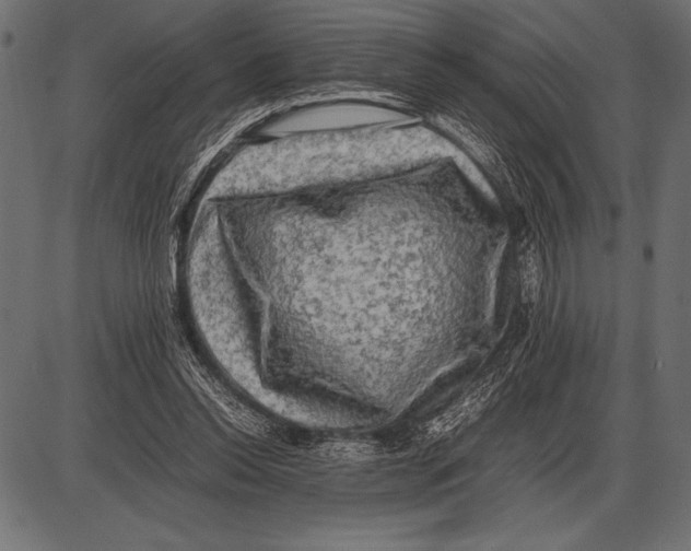 X0000085730350200704091450