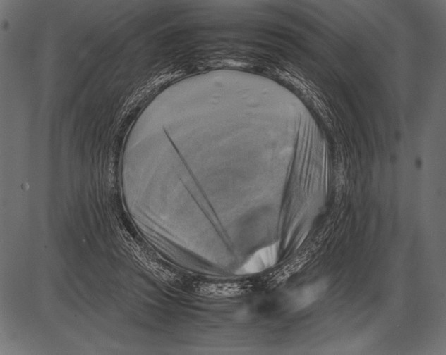 X0000085730353200704091450