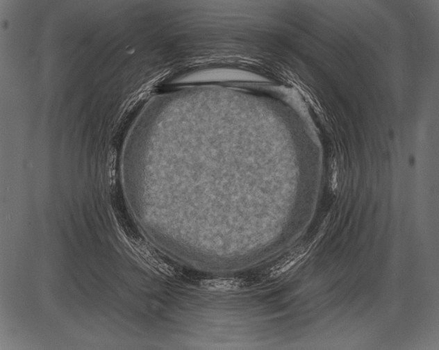 X0000085730356200704091450