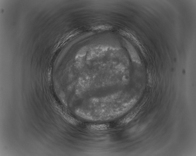 X0000085730357200704091450