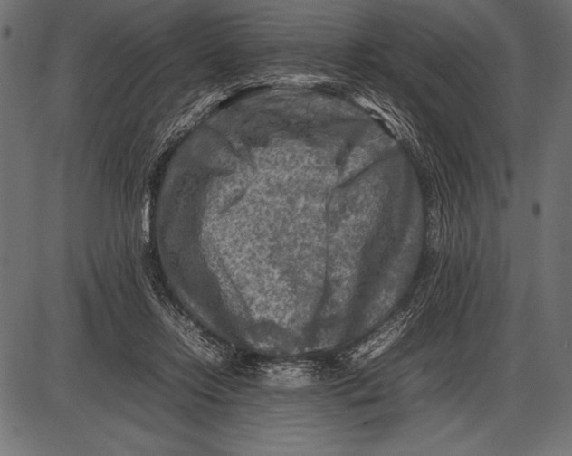 X0000085730358200704091450