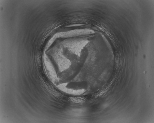 X0000085730359200704091450