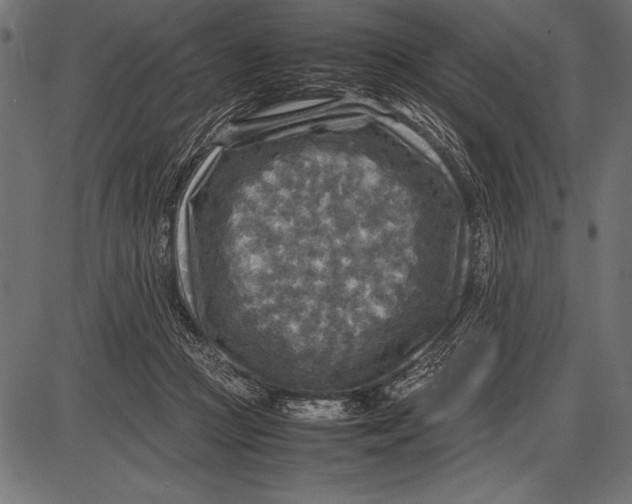 X0000085730361200704091450