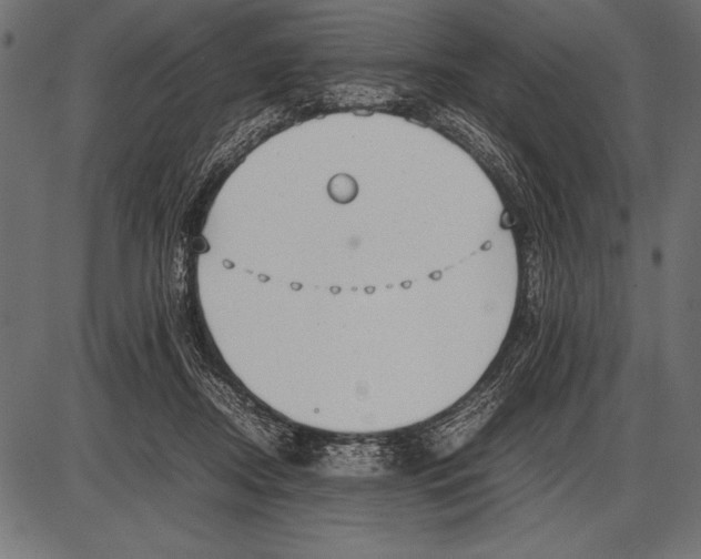 X0000085730362200704091450