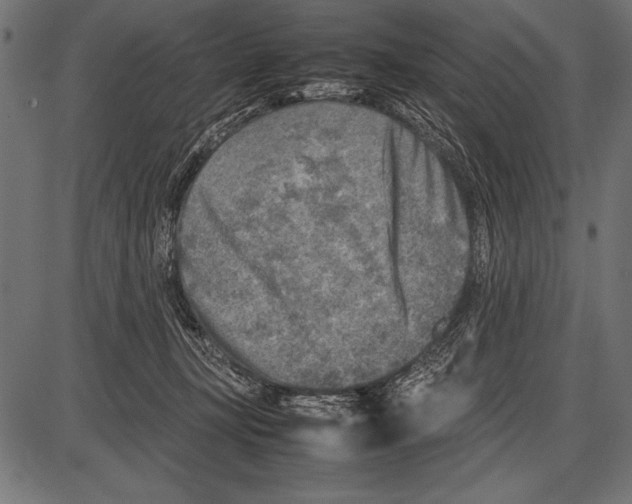 X0000085730367200704091450