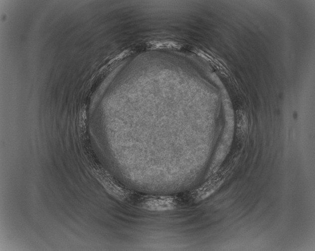 X0000085730369200704091450