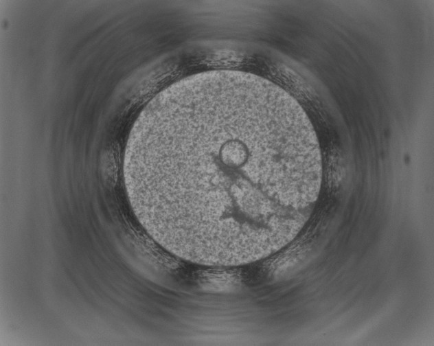 X0000085730370200704091450