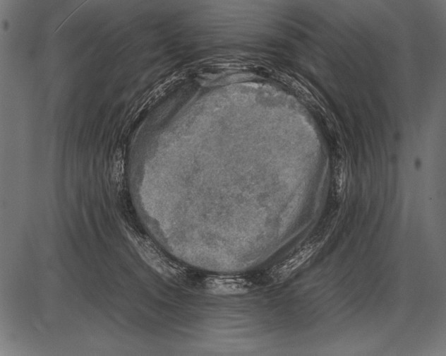 X0000085730372200704091450