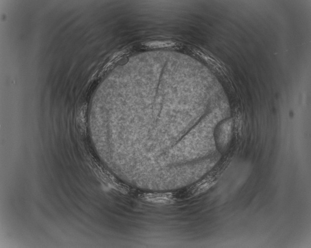 X0000085730373200704091450