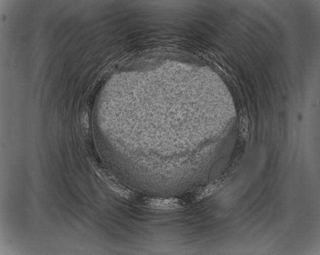 X0000085730375200704091450