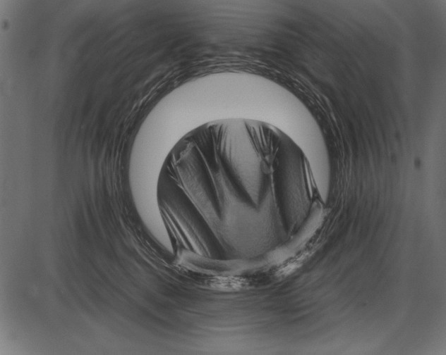 X0000085730376200704091450