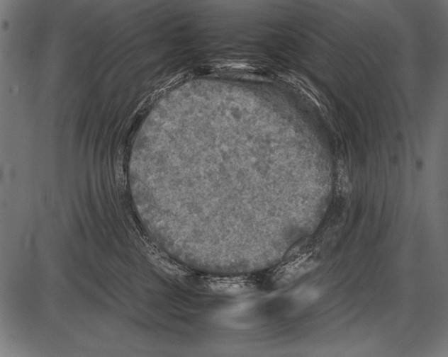 X0000085730377200704091450