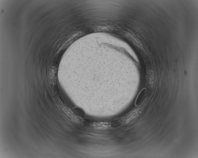 X0000085730378200704091450