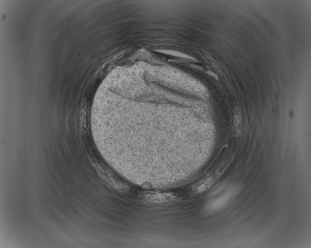 X0000085730379200704091450