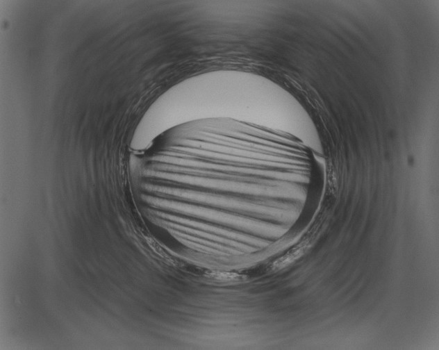 X0000085730380200704091450